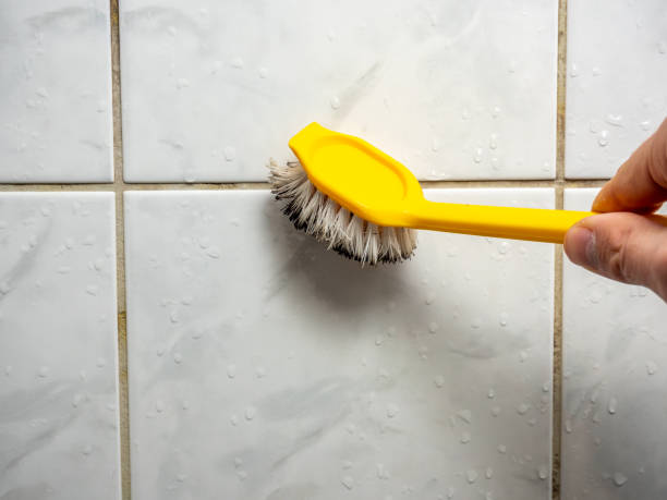 Certified Mold Removal in Granville, WV