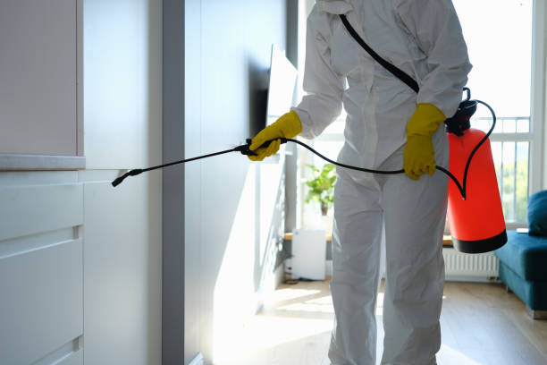 Best Crawl Space Mold Removal  in Granville, WV
