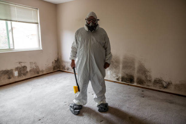 Best Mold Remediation Services  in Granville, WV